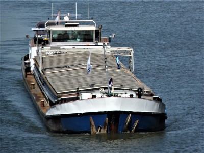 S-Inne-2-24-04-2019-Sambeek (2).JPG (221.2 Kio) Vu 1622 fois S-Inne-2-24-04-2019-Sambeek (2).JPG