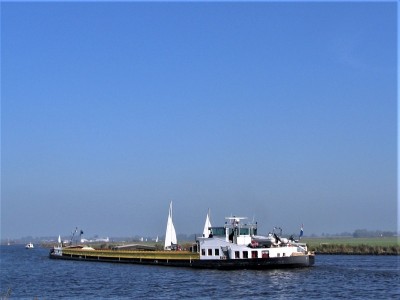 smalagt-3-4-11-10-2008.jpg