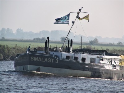 smalagt-3-2-11-10-2008.jpg (180.66 Kio) Vu 1453 fois smalagt-3-2-11-10-2008.jpg