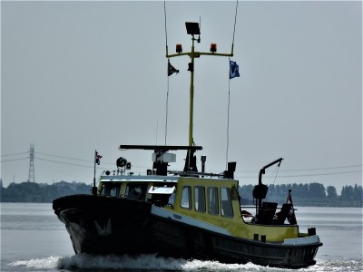 agger-1-22-06-2010 (2).JPG (135.13 Kio) Vu 2104 fois agger-1-22-06-2010 (2).JPG