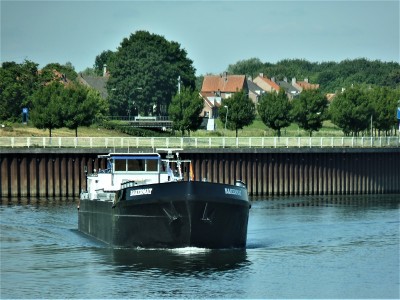 Bakermat-2-29-05-2019-sluis-Lith (2).JPG (223.48 Kio) Vu 2758 fois Bakermat-2-29-05-2019-sluis-Lith (2).JPG