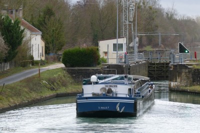SAUVEUR Saint-Germain-la-Ville 20 décembre 2018 (11) vagus.JPG