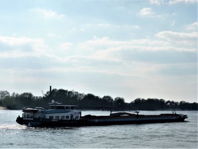 Miryana-2-11-04-2019-Oosterhout (2).JPG (146.95 Kio) Vu 1324 fois Miryana-2-11-04-2019-Oosterhout (2).JPG