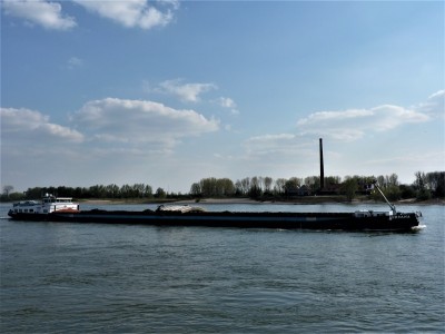 Miryana-1-11-04-2019-Oosterhout (2).JPG (159.21 Kio) Vu 1325 fois Miryana-1-11-04-2019-Oosterhout (2).JPG