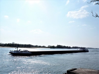 Arquero-1-14-04-2019-Oosterhout (2).JPG (161.31 Kio) Vu 1591 fois Arquero-1-14-04-2019-Oosterhout (2).JPG