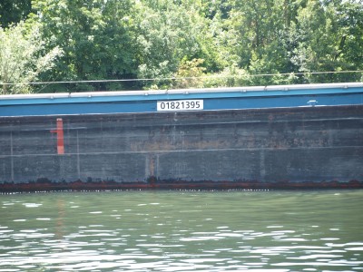 P6216809 (Copier).JPG (967.5 Kio) Vu 2736 fois P6216809 (Copier).JPG