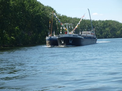 P6226937 (Copier).JPG (809.08 Kio) Vu 3960 fois P6226937 (Copier).JPG