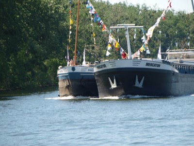 P6226936 (Copier).JPG (677.87 Kio) Vu 3960 fois P6226936 (Copier).JPG