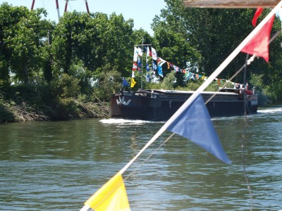 P6226934 (Copier).JPG (784.51 Kio) Vu 3960 fois P6226934 (Copier).JPG