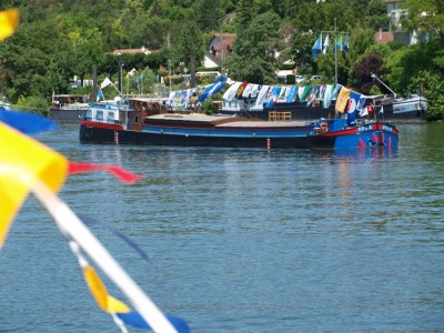 P6226922 (Copier).JPG (908.12 Kio) Vu 3960 fois P6226922 (Copier).JPG