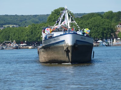 P6226909 (Copier).JPG (711.61 Kio) Vu 3960 fois P6226909 (Copier).JPG