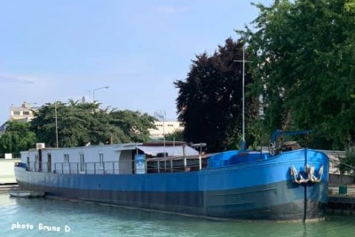 AMELIE ex BINGER - à Reims - juillet 2019.jpg (95.12 Kio) Vu 5445 fois AMELIE ex BINGER - à Reims - juillet 2019.jpg