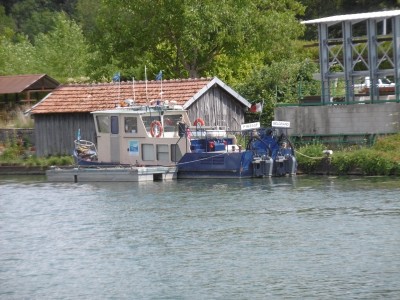 P1000649 (800x600).jpg