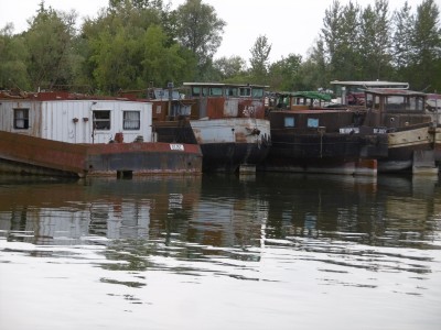 P1000774 (800x600).jpg