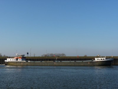 wiliie-1-10-03-201.jpg