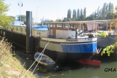 paranzella-ar.JPG