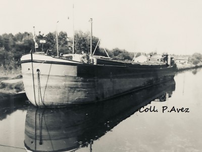 ronipa-av-rd@coll Peggy Avez.jpg (173.73 Kio) Vu 3373 fois ronipa-av-rd@coll Peggy Avez.jpg