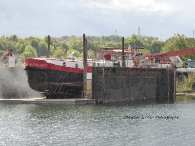 Kokoro Veneux1 - Copie.JPG (215.33 Kio) Vu 2528 fois Kokoro Veneux1 - Copie.JPG