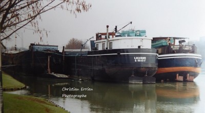 P1030241 (2).JPG (132.79 Kio) Vu 8742 fois P1030241 (2).JPG