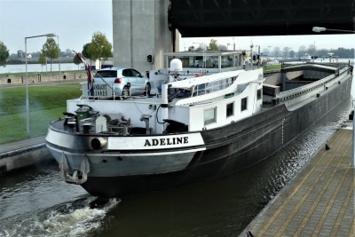 Adeline-3-16-11-2019-sluis-Lith (2) (1).jpg (95.16 Kio) Vu 1393 fois Adeline-3-16-11-2019-sluis-Lith (2) (1).jpg