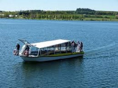 PAPILLON JAUNE d.jpg