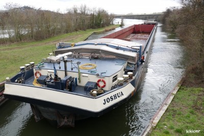 JOSHUA-LANY Pont-à-Mousson janvier 2019 (3).JPG