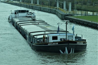 Adelheid-1-21-11-2019-sluis-Sambeek (2).jpg (113.95 Kio) Vu 1708 fois Adelheid-1-21-11-2019-sluis-Sambeek (2).jpg