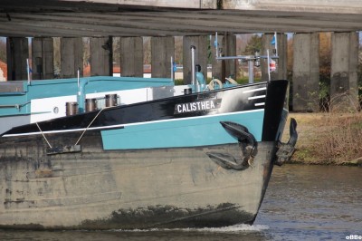 IMG_0998_1.JPG