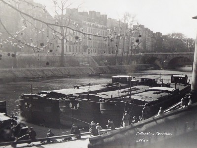 P1030541.JPG (188.11 Kio) Vu 9122 fois P1030541.JPG