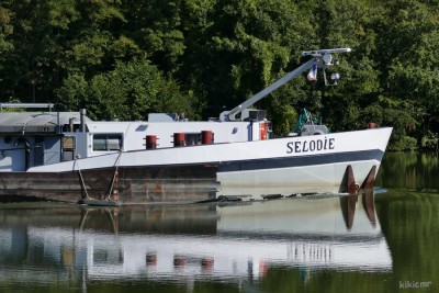 SELODIE (2).JPG
