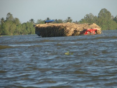 DSC03126.JPGa.jpg (94.22 Kio) Vu 1188 fois DSC03126.JPGa.jpg