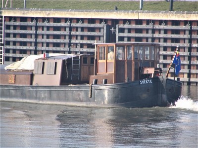 suerte-5-18-02-2008.jpg