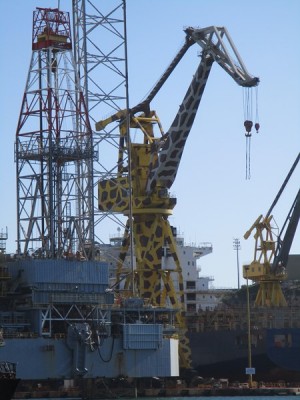 IMG_0681 (Copier).JPG (90.72 Kio) Vu 1982 fois IMG_0681 (Copier).JPG