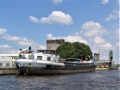 joja-2-06-07-2009 (2).jpg