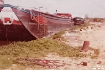 MYOSOTIS amarré (1).jpg (60.82 Kio) Vu 1666 fois MYOSOTIS amarré (1).jpg