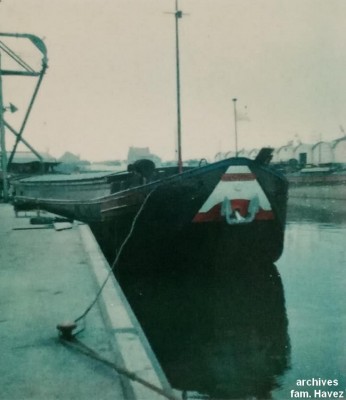 MYOSOTIS amarré (2).jpg (67.69 Kio) Vu 1666 fois MYOSOTIS amarré (2).jpg