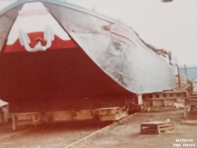 MYOSOTIS à terre.jpg (72.39 Kio) Vu 1665 fois MYOSOTIS à terre.jpg