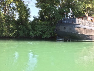 IMG_1279.JPG (360 Kio) Vu 2169 fois IMG_1279.JPG