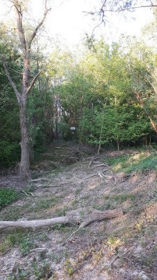 20200411_191528 (Copier).jpg (100.86 Kio) Vu 4108 fois 20200411_191528 (Copier).jpg