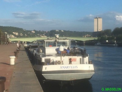 IMG_16571.jpg