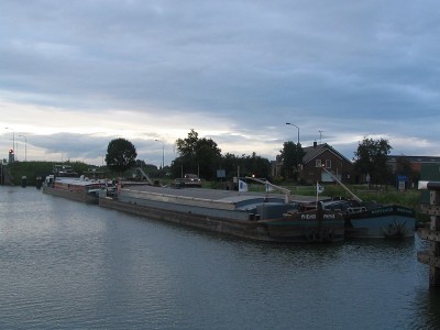 kroonland-seabird-6-02-09-2007.JPG