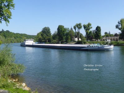 Magnum Thomery3 - Copie.JPG (205.08 Kio) Vu 3947 fois Magnum Thomery3 - Copie.JPG