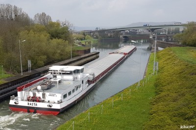 RASTA Thionville avril 2019 (3).jpg