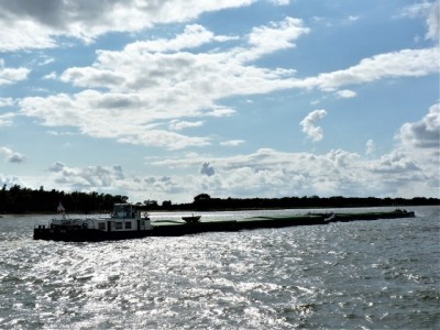 8.jpg (96.52 Kio) Vu 1529 fois 8.jpg