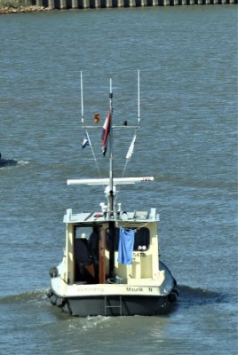 6.jpg (51.07 Kio) Vu 1287 fois 6.jpg