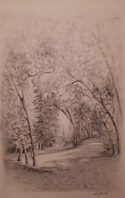 20200501_214551 (Copier).jpg (64.78 Kio) Vu 8667 fois 20200501_214551 (Copier).jpg