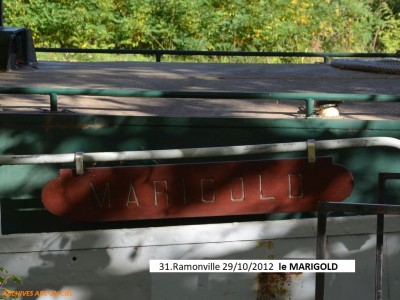 RESONANCE ex MARIGOLD Vagus 02.jpg