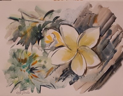 20200501_223240 (Copier).jpg (104.74 Kio) Vu 11065 fois 20200501_223240 (Copier).jpg