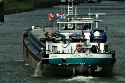 Sailing-Home-1-29-06-2020-sluis-Lith (2).jpg (93.61 Kio) Vu 2485 fois Sailing-Home-1-29-06-2020-sluis-Lith (2).jpg