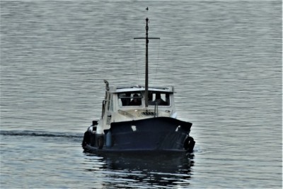 5.jpg (74.61 Kio) Vu 1663 fois 5.jpg